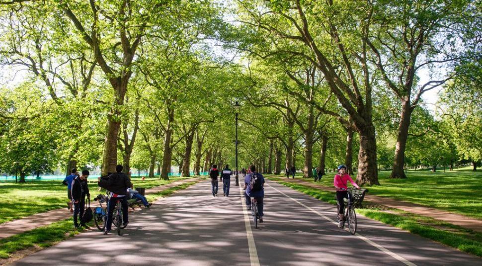 Parkside & City View In Sydney Olympic Park المظهر الخارجي الصورة